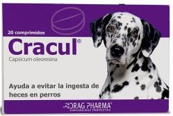 Cracul