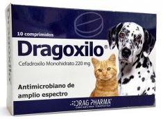 Dragoxilo 220 grs. – Comprimido Oral