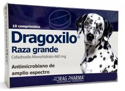 Dragoxilo – Raza grande Comprimido Oral