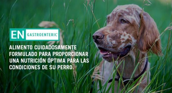 ProPlan dieta Veterinaria EN Canino 1.5 Kgs.