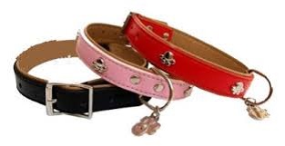 Accesorios