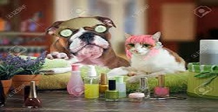 Cuidado y Belleza