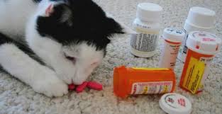 Medicamentos
