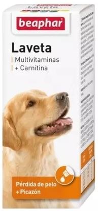 Laveta + Carnitina